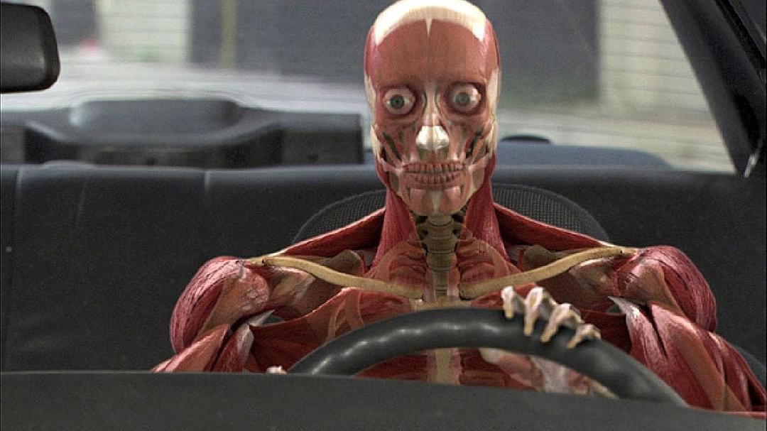 人体奥秘 Inside the Human Body