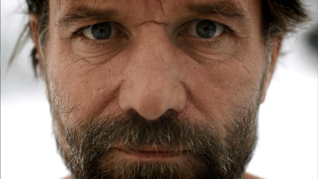 人体奥秘 Inside the Human Body