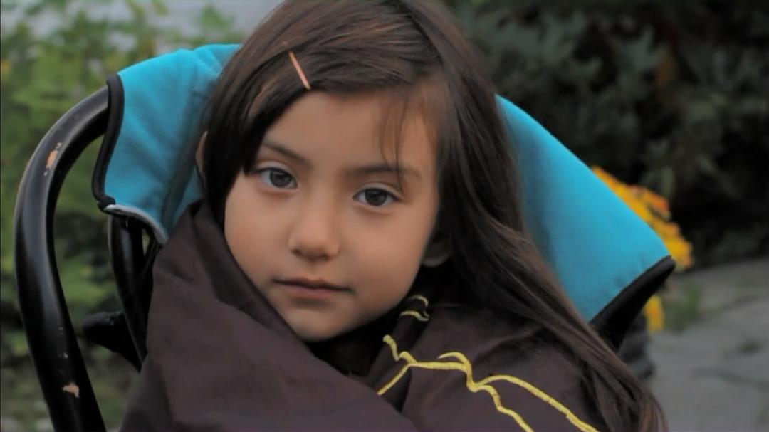 人体奥秘 Inside the Human Body