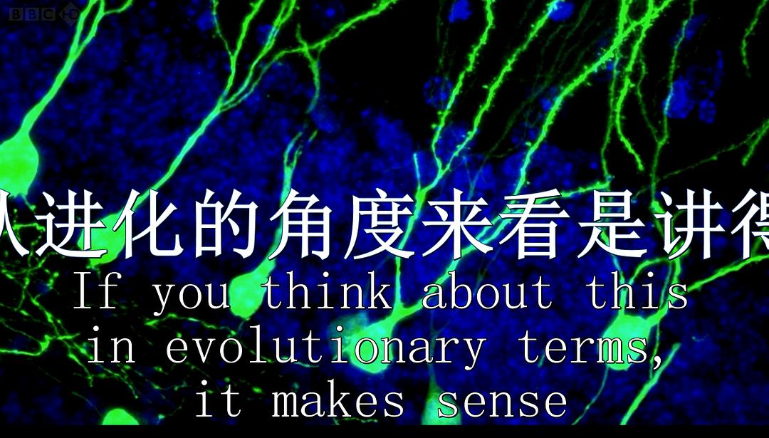 节食与长寿 Horizon: Eat, Fast and Live Longer