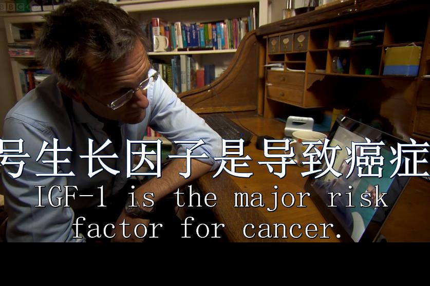 节食与长寿 Horizon: Eat, Fast and Live Longer