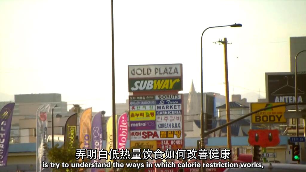 节食与长寿 Horizon: Eat, Fast and Live Longer