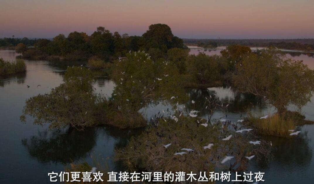 维多利亚瀑布：非洲的伊甸园 Victoria Falls: Africa's Garden of Eden