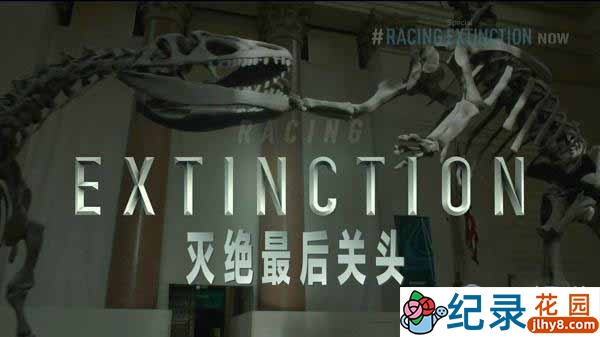 探索频道动物保护纪录片《灭绝最后关头 Racing Extinction》全1集 720P/1080i高清纪录片资源百度云盘下载
