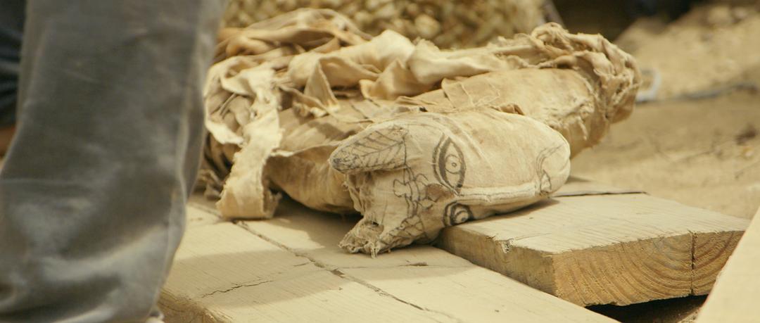 塞加拉陵墓揭秘 Secrets of the Saqqara Tomb