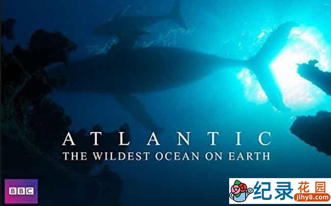 BBC海洋生态纪录片《大西洋：地球最狂野的海洋 Atlantic: The Wildest Ocean on Earth》全3集 720P/1080i高清纪录片百度云