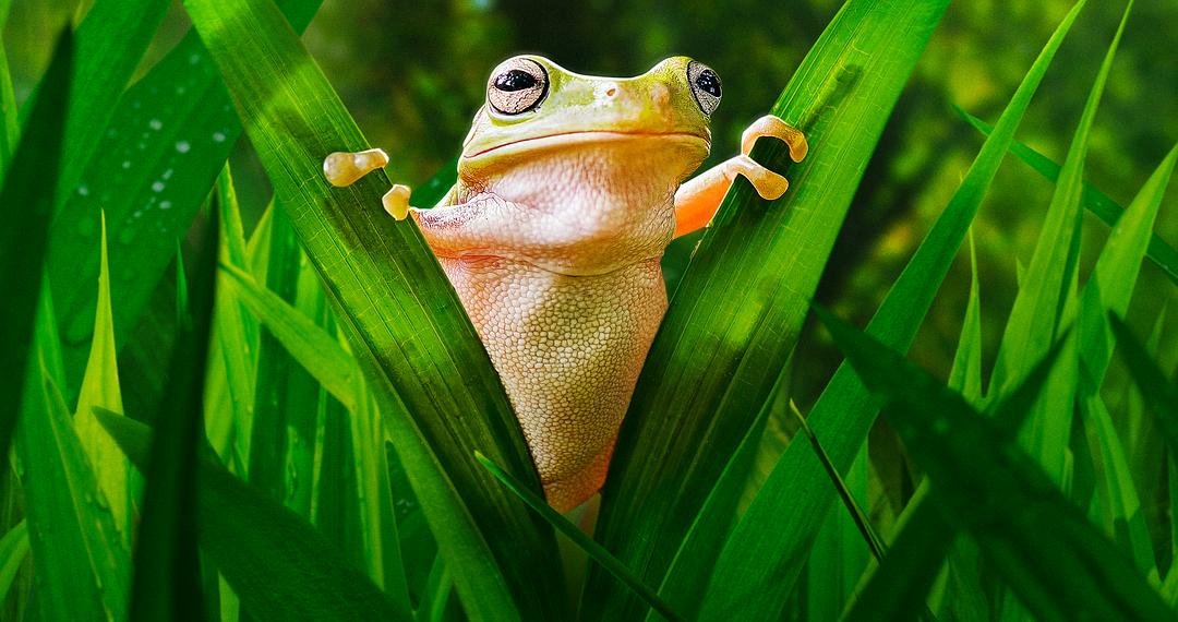 小小世界 第二季 Tiny World Season 2