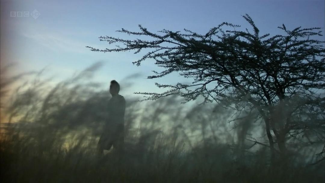 种出个地球 How To Grow A Planet