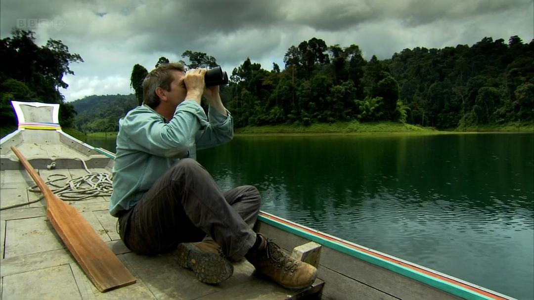 种出个地球 How To Grow A Planet