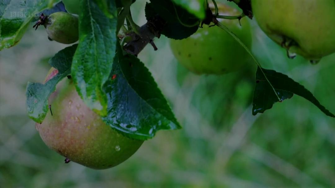 种出个地球 How To Grow A Planet