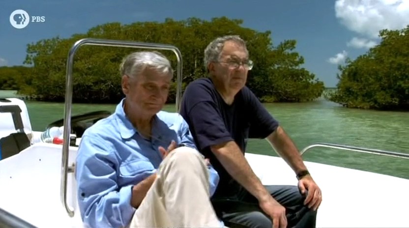 蚂蚁专家 Lord of the Ants