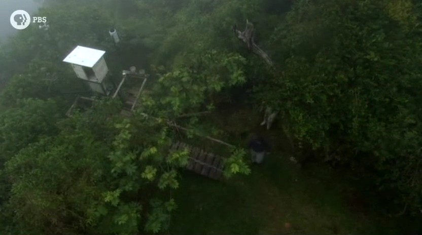 蚂蚁专家 Lord of the Ants