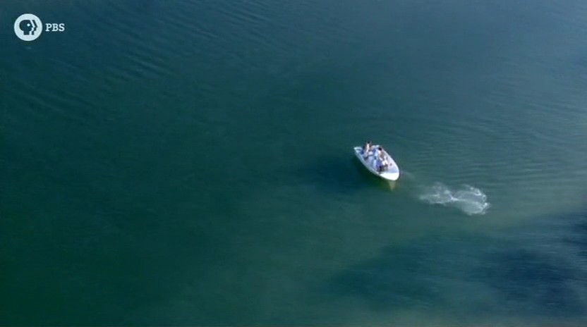 蚂蚁专家 Lord of the Ants