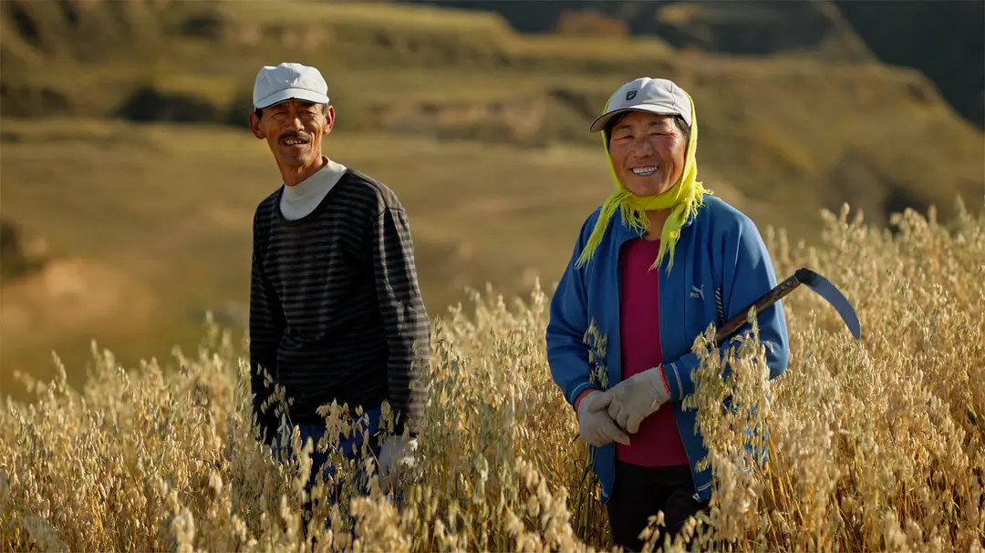 风味人间 第四季