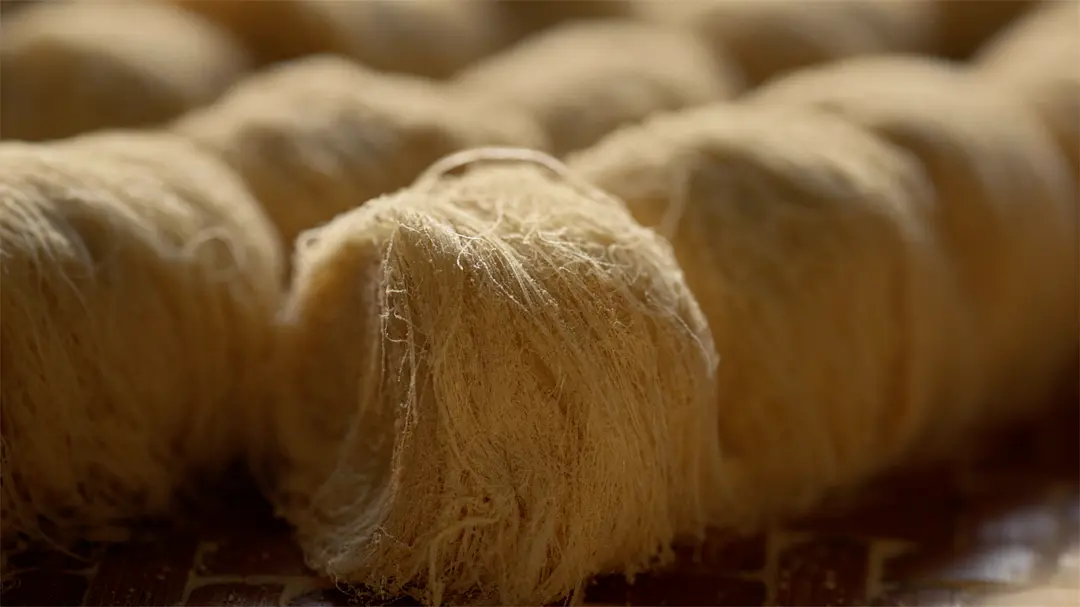 风味人间 第四季