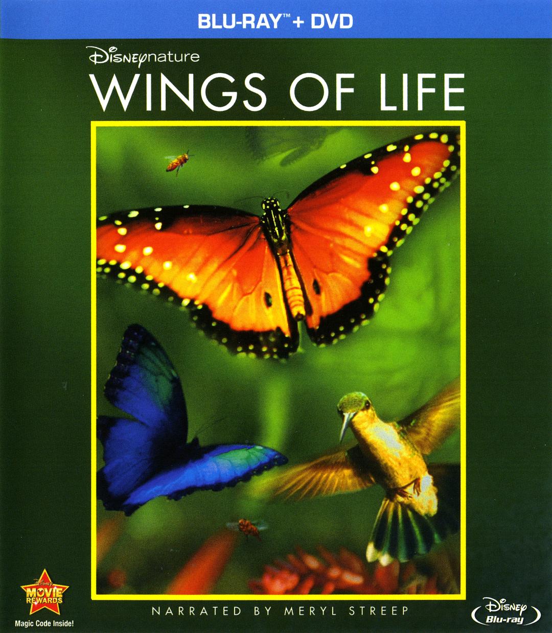 隐蔽之美：孕育地球的爱的故事 Naked Beauty: A Love Story that Feeds the Earth