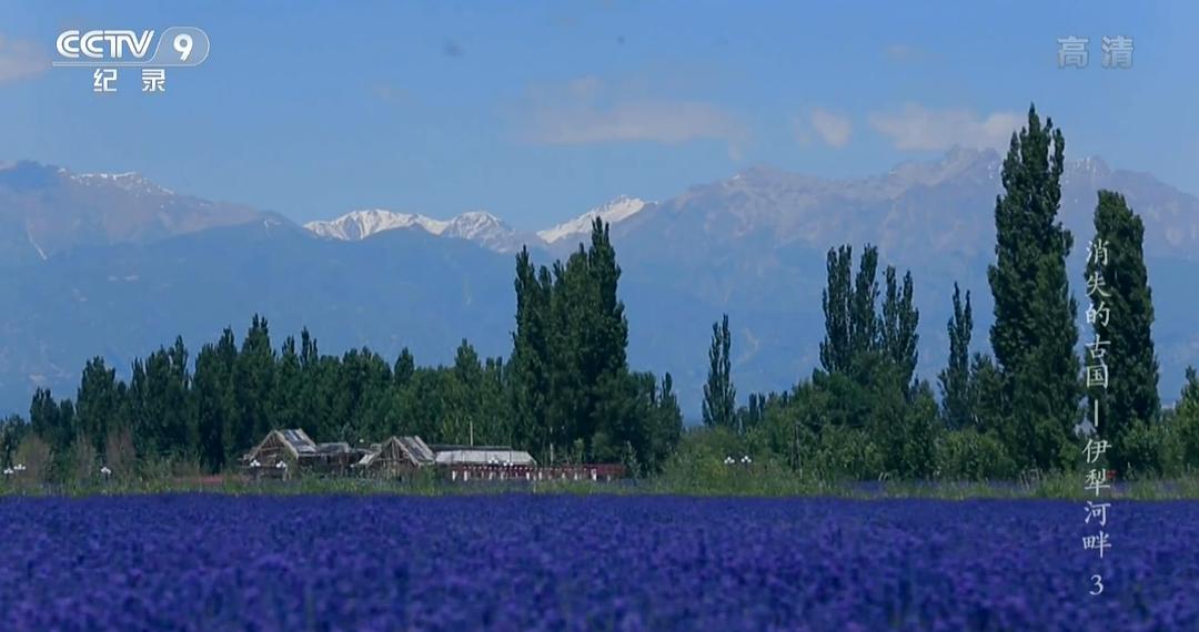 消失的古国：伊犁河畔