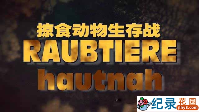 国家地理生命探索纪录片《掠食动物生存战 Secret Life of Predators》全4集 720P/1080i高清纪录片百度云下载