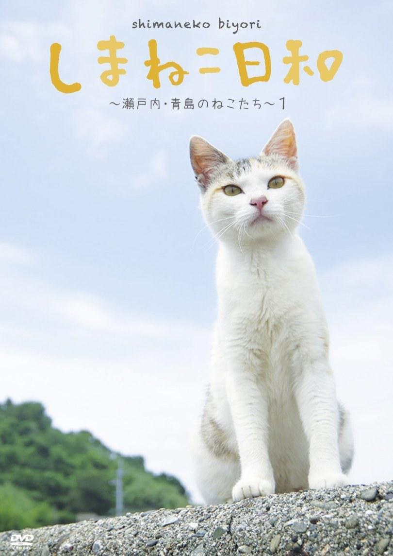 俺是猫，欢迎来俺家玩 しまねこ日和～瀬戸内・青島のねこたち～