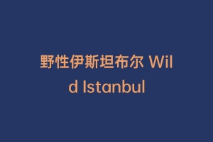 野性伊斯坦布尔 Wild Istanbul