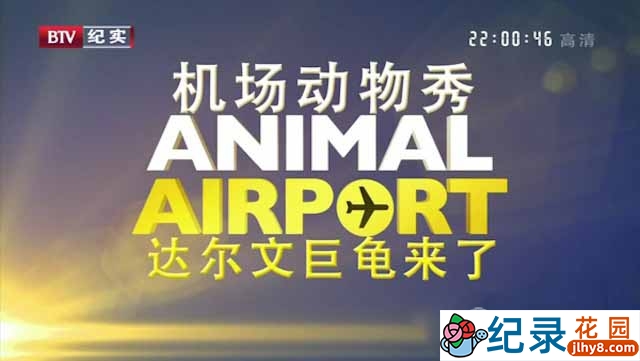 动物托运纪录片《机场动物秀 Animal Airport》全12集 720P/1080i纪录片资源百度云盘下载