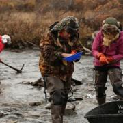 阿拉斯加淘金女郎 Alaska Gold Diggers