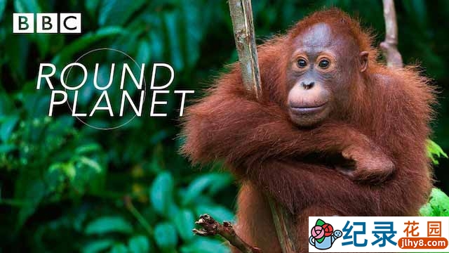 BBC自然生态纪录片《地球生物圈 Round Planet》全5集中字 TS/蓝光高清纪录片资源百度云盘下载