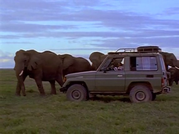 国家地理百年纪念典藏：与象共舞 Coming of Age with Elephants