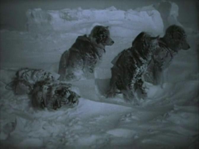 北方的纳努克 Nanook of the North