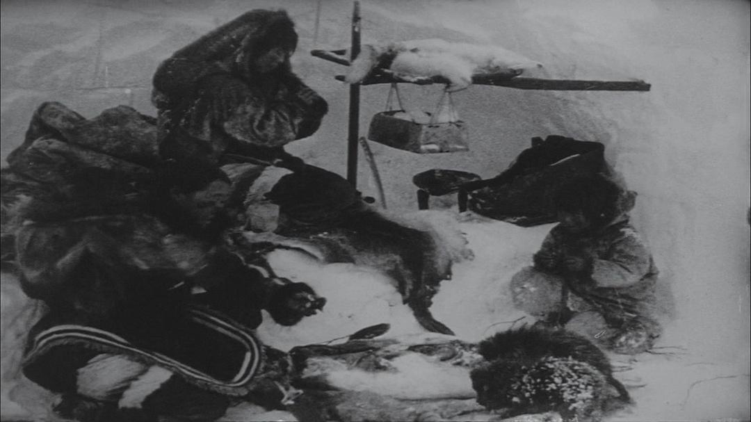 北方的纳努克 Nanook of the North