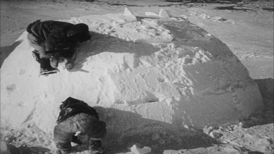 北方的纳努克 Nanook of the North