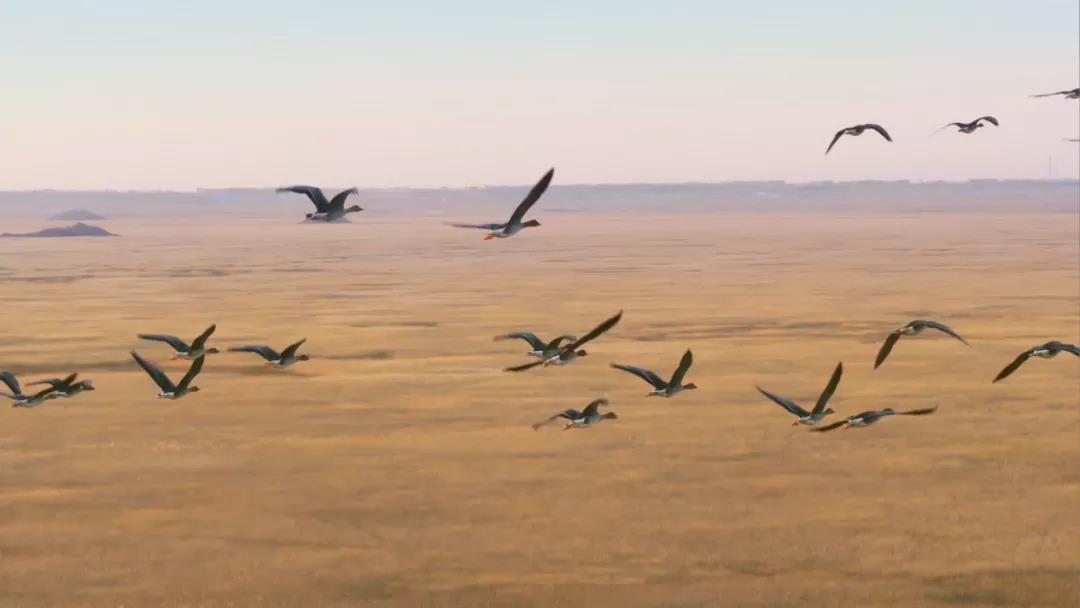 航拍中国 第三季