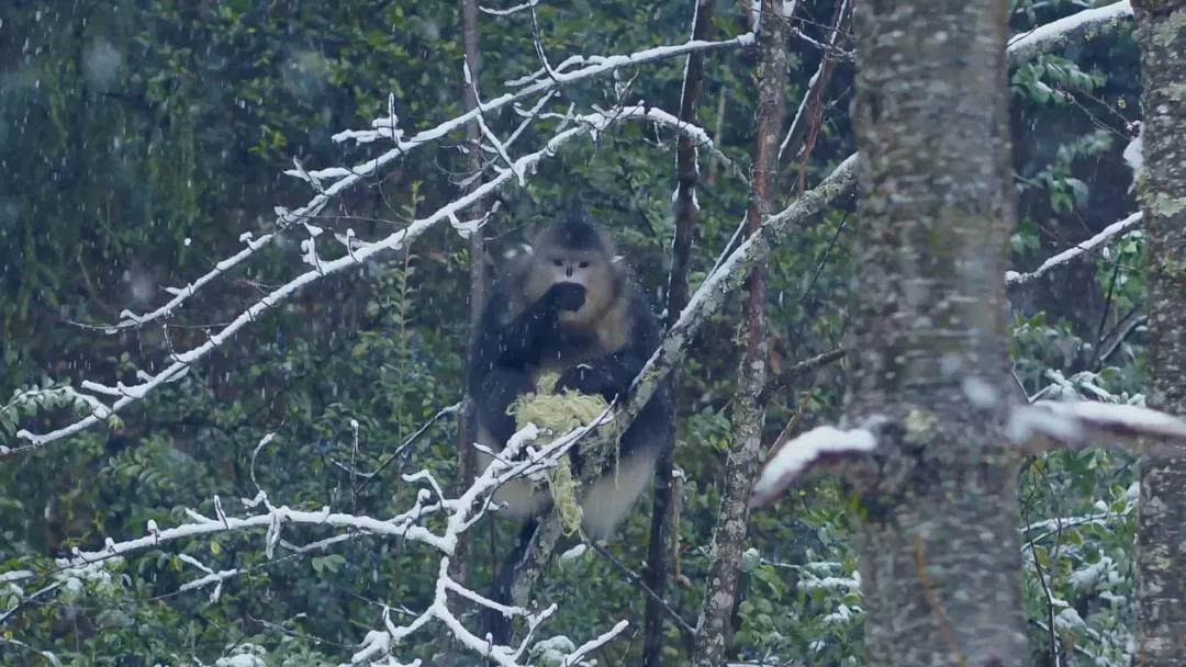 航拍中国 第三季