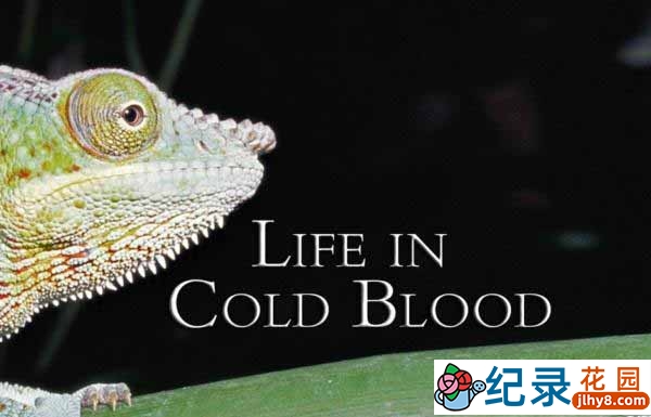BBC自然生物纪录片《冷血生命 Life In The Cold Blood》全5集 标清纪录片资源百度云盘下载