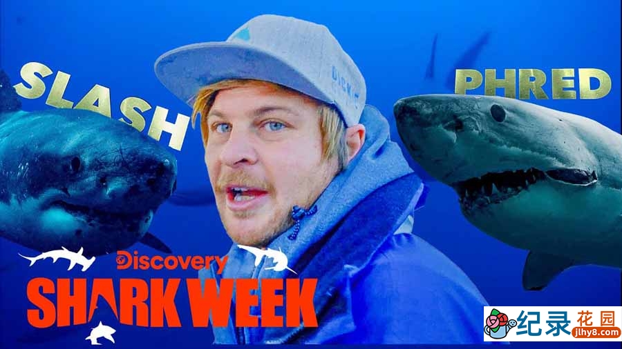 探索频道鲨鱼研究纪录片《鲨鱼周 2018 Shark Week》全20集中字 纪录片解说素材百度云盘下载 1080/MP4/48.5G