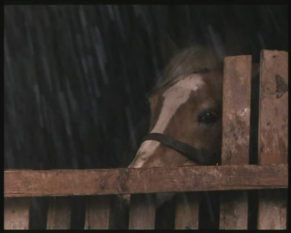 穿越时间的声音 Voci Nel Tempo