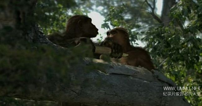 寻找人类始祖 Ape Man Search for the First Human