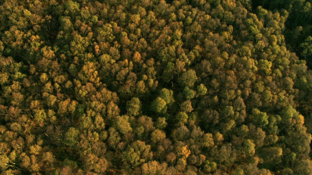 我们星球的秘密 Secrets of Our Living Planet