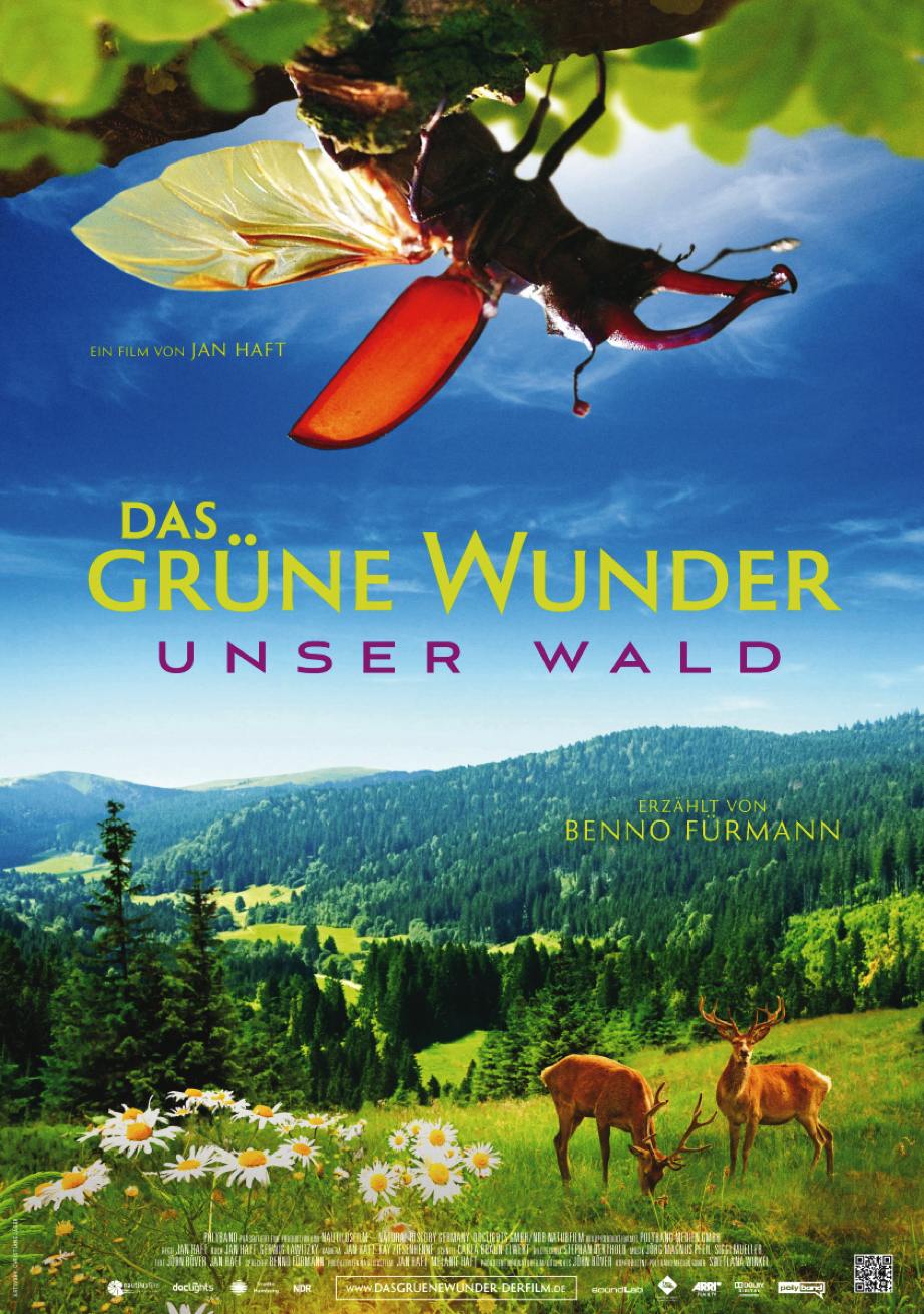 大自然之舞 Das grüne Wunder – Unser Wald