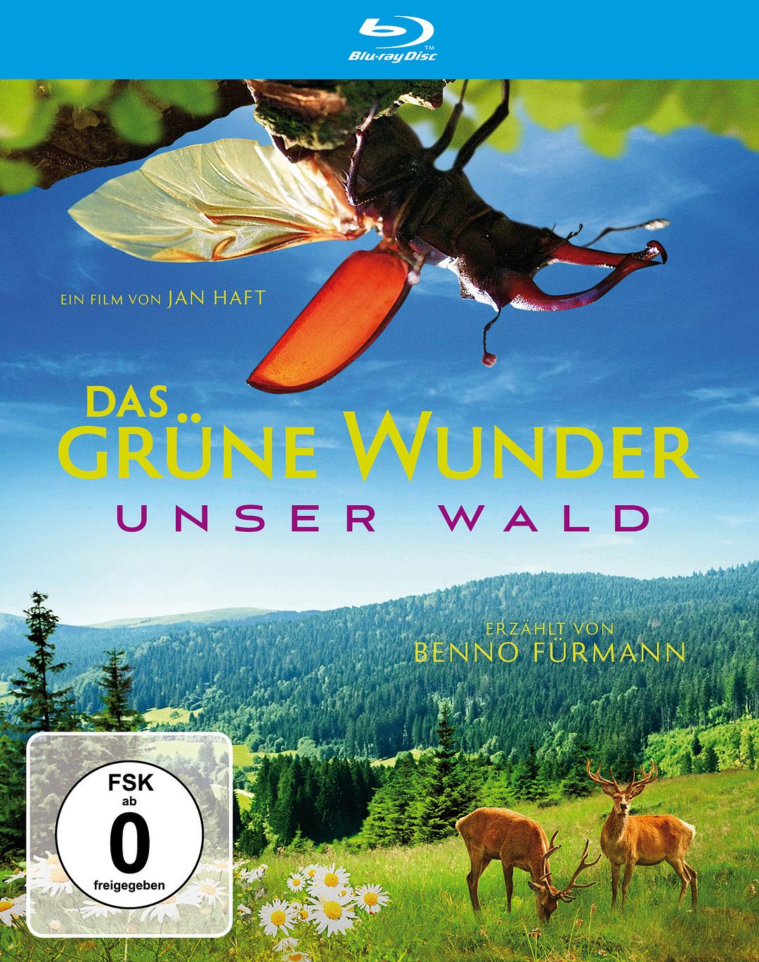 大自然之舞 Das grüne Wunder – Unser Wald