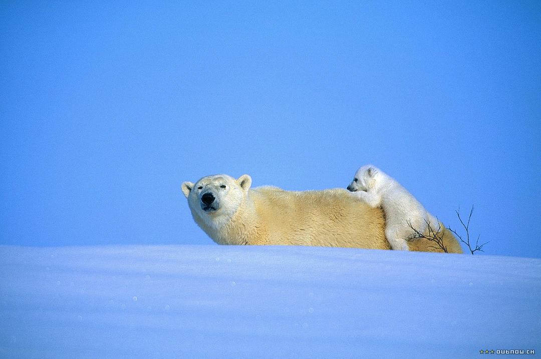 白色星球 La planète blanche