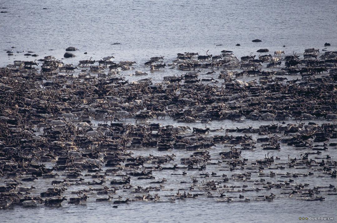 白色星球 La planète blanche