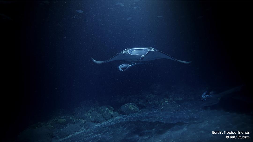 地球热带岛屿之旅 Earth’s Tropical Islands
