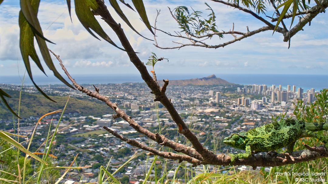 地球热带岛屿之旅 Earth’s Tropical Islands