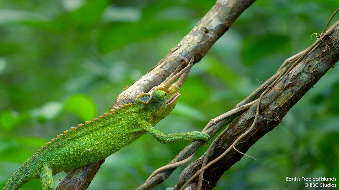 地球热带岛屿之旅 Earth’s Tropical Islands