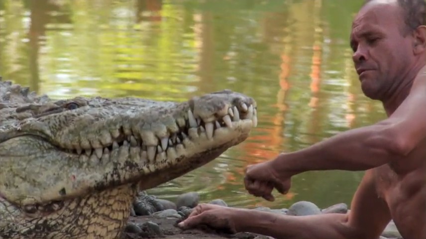 鳄鱼盛宴 Dragon's Feast