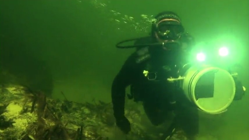 鳄鱼盛宴 Dragon's Feast