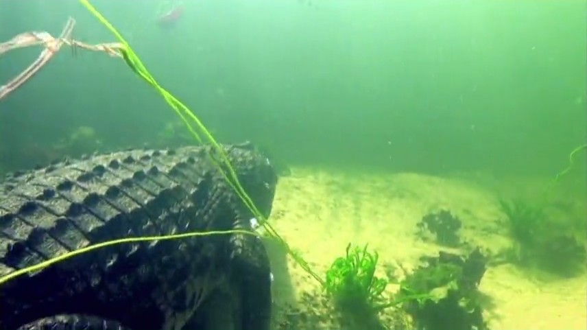 鳄鱼盛宴 Dragon's Feast