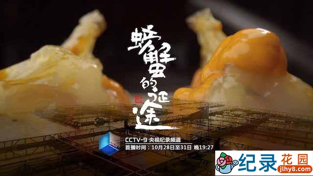 央视生活美食纪录片《螃蟹的征途》全4集 720P/1080i高清纪录片资源百度云盘下载