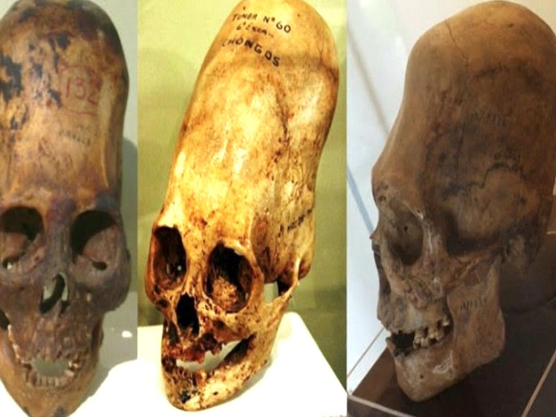 崇高之上 Above Majestic